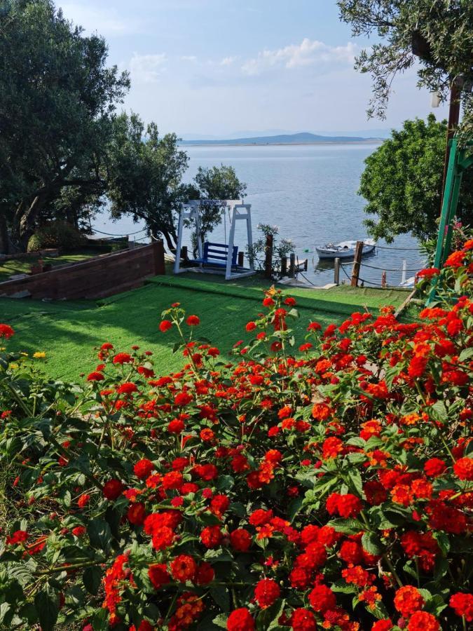 Qcunda Otel Ayvalı 외부 사진