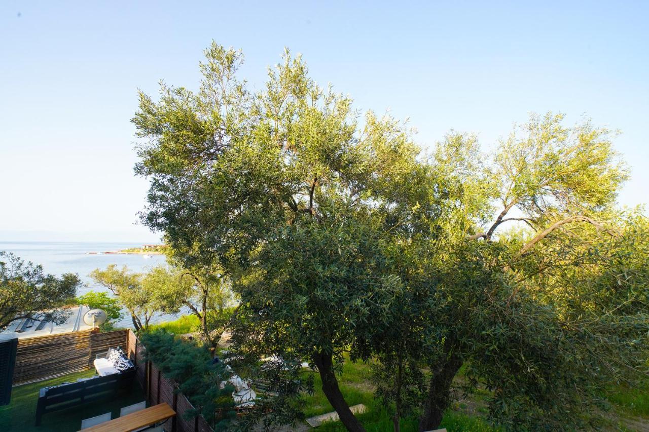 Qcunda Otel Ayvalı 외부 사진